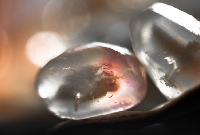 点击大图看下一张：一组看起来珠光宝气的石榴籽图片