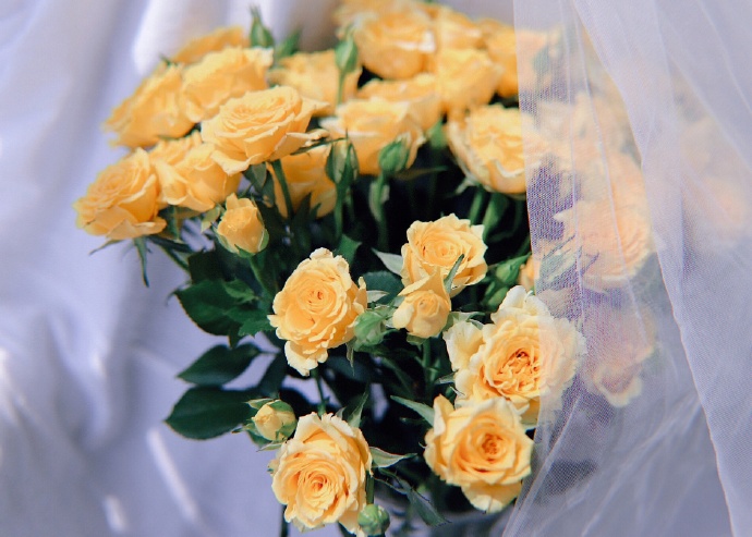 点击大图看下一张：一组意境超美的黄玫瑰图片