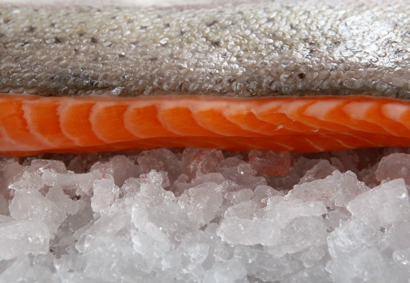 点击大图看下一张：新鲜嫩滑的三文鱼图片