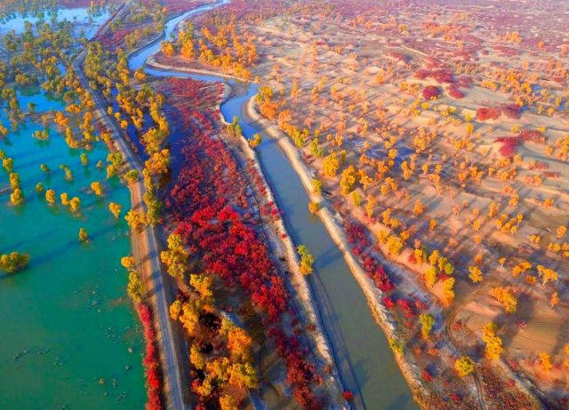 点击大图看下一张：航拍镜头下的新疆塔里木河畔景色