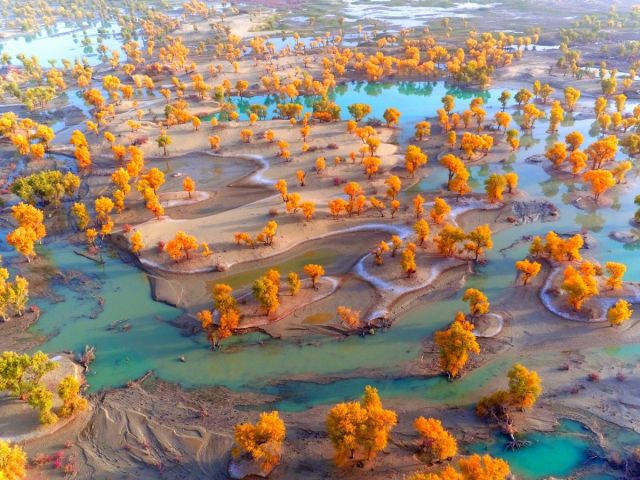 点击大图看下一张：航拍镜头下的新疆塔里木河畔景色
