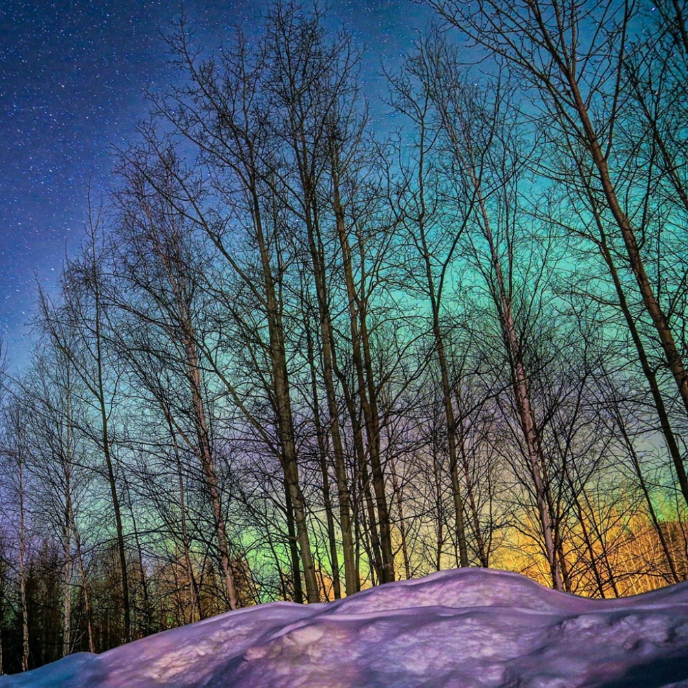 点击大图看下一张：阿拉斯加极光夜景图片