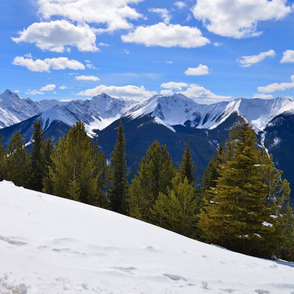 点击大图看下一张：落基山脉雪景自然景观图片