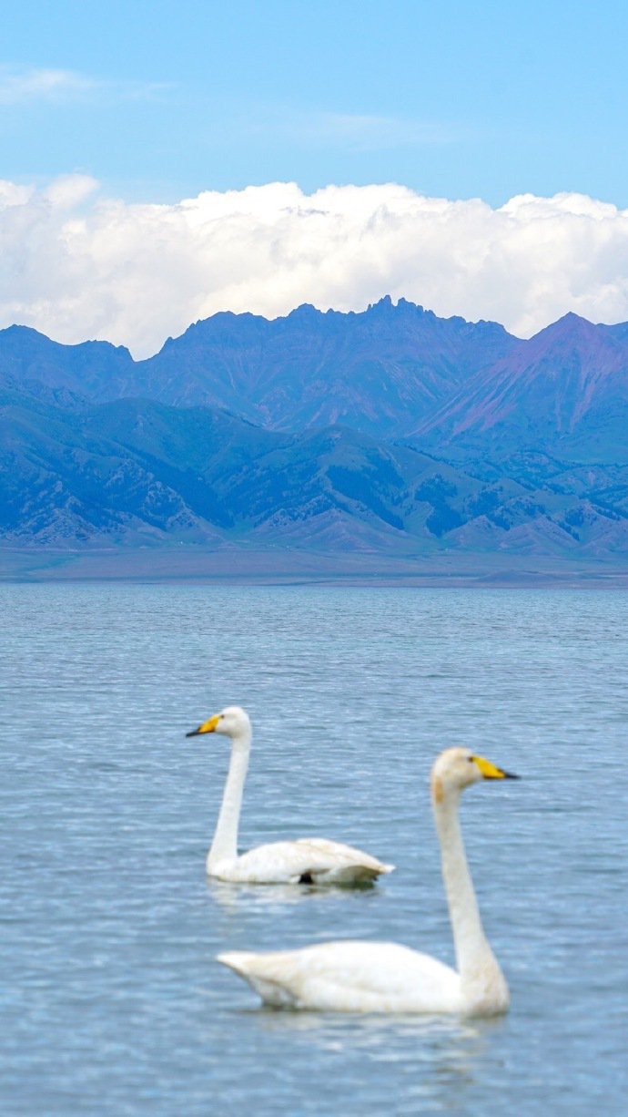 点击大图看下一张：七月的北疆，有我爱的山川和湖泊
