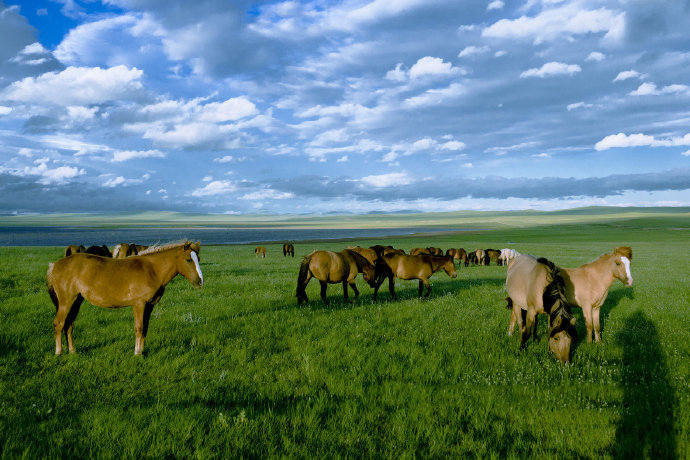 点击大图看下一张：科尔沁大草原，内蒙古九大草原之一