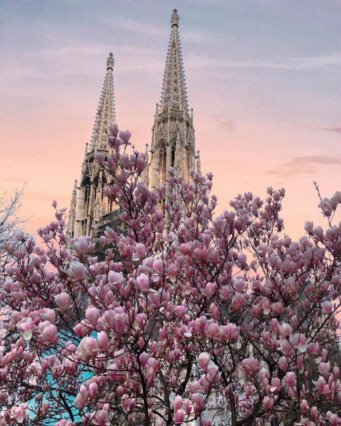 点击大图看下一张：维也纳的春日暮色