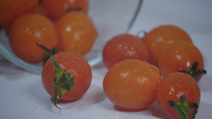 点击大图看下一张：一组酸甜可口的小番茄图片