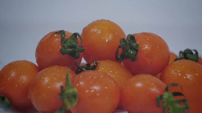 点击大图看下一张：一组酸甜可口的小番茄图片