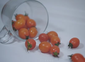 一组酸甜可口的小番茄图片
