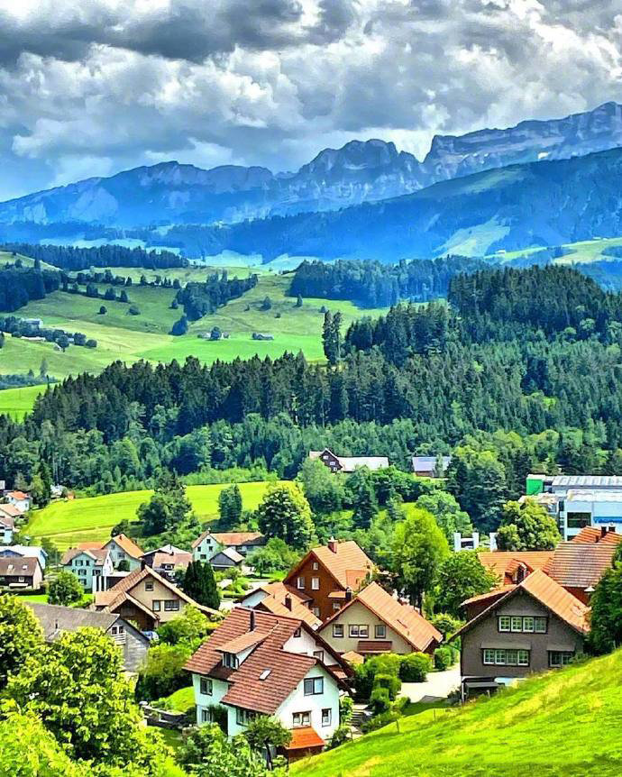 点击大图看下一张：瑞士，在鸟语花香的清晨醒来