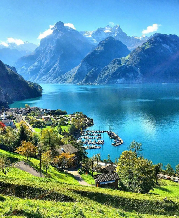 点击大图看下一张：瑞士，在鸟语花香的清晨醒来