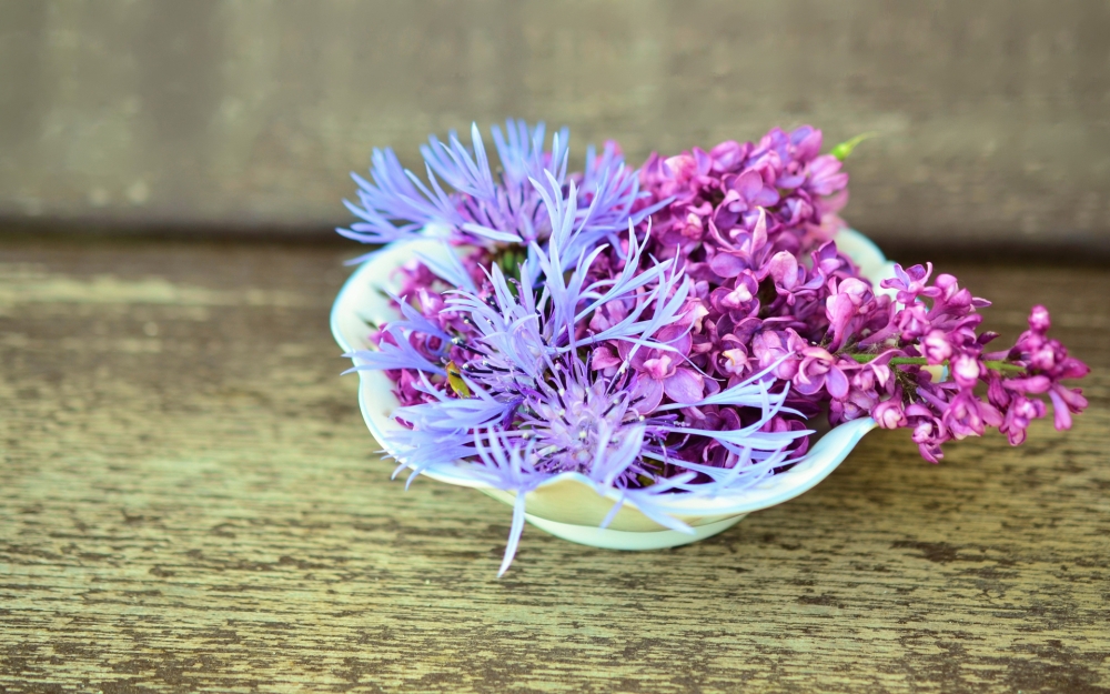 点击大图看下一张：紫色丁香花唯美图片桌面壁纸