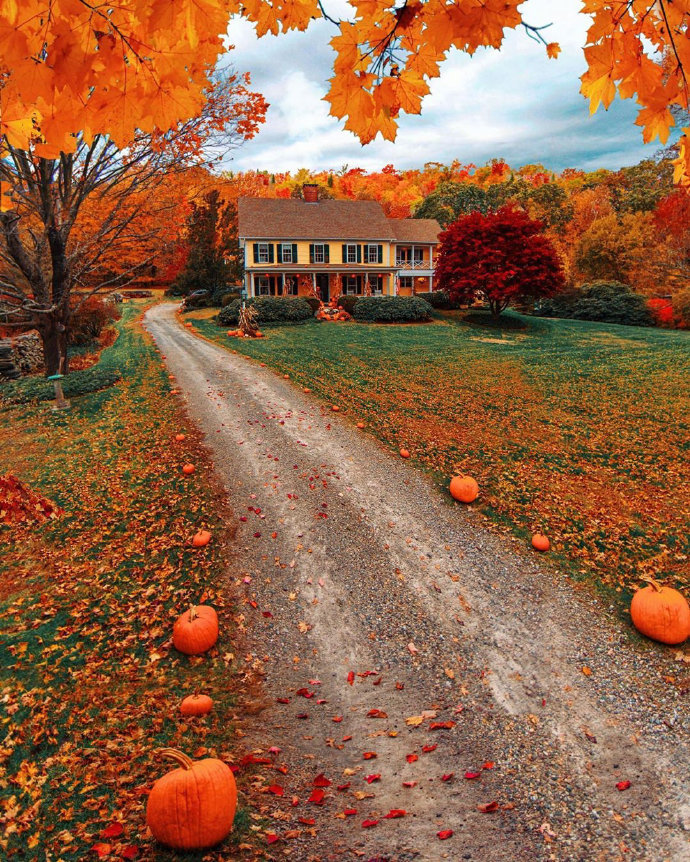 点击大图看下一张：佛蒙特州的秋天