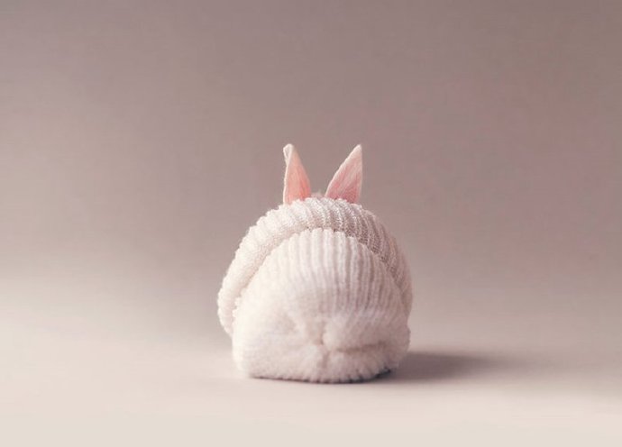 点击大图看下一张：一组超可爱奶萌奶萌的兔子
