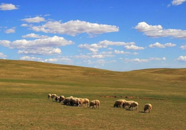点击大图看下一张：一组内蒙古草原美景图片