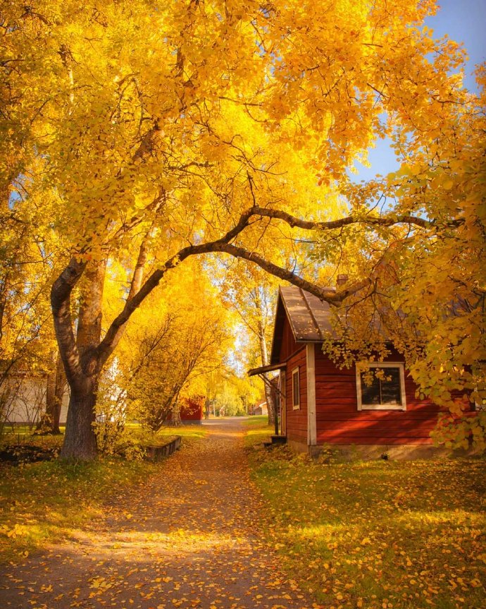 点击大图看下一张：芬兰的秋色，屏住呼吸之美