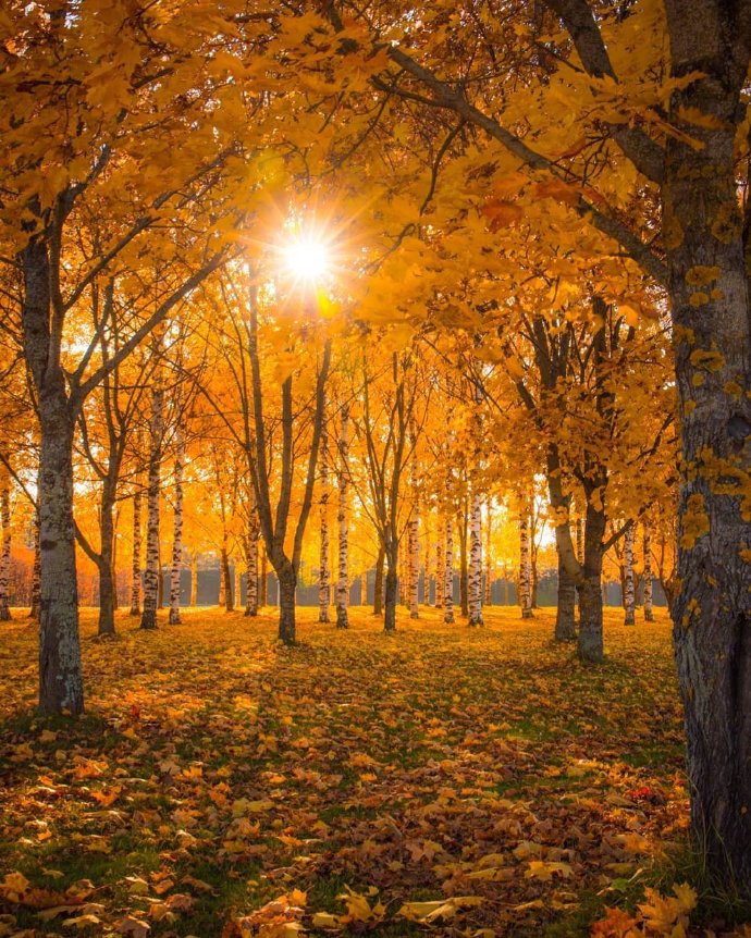 点击大图看下一张：芬兰的秋色，屏住呼吸之美
