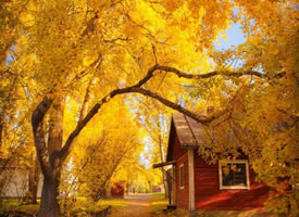 芬兰的秋色，屏住呼吸之美