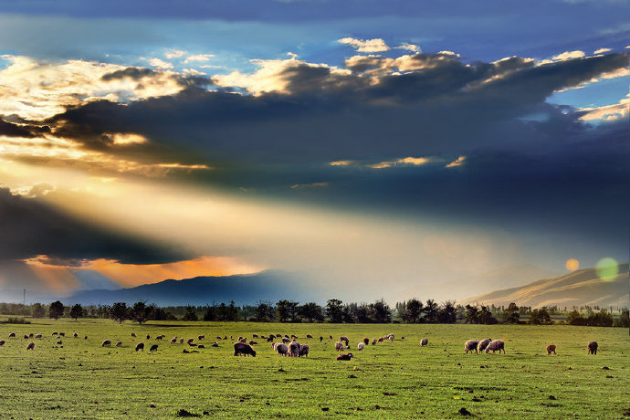 点击大图看下一张：塞外江南，人间天堂——那拉提大草原