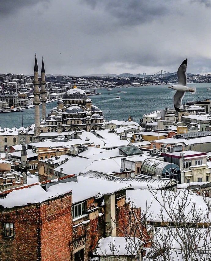 点击大图看下一张：伊斯坦布尔的秋末冬初，很文艺的城市
