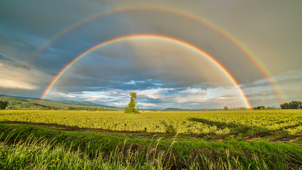 点击大图看下一张：一组五彩缤纷的雨后彩虹图片