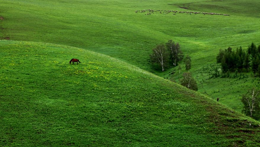 点击大图看下一张：辽阔的内蒙古大草原图片