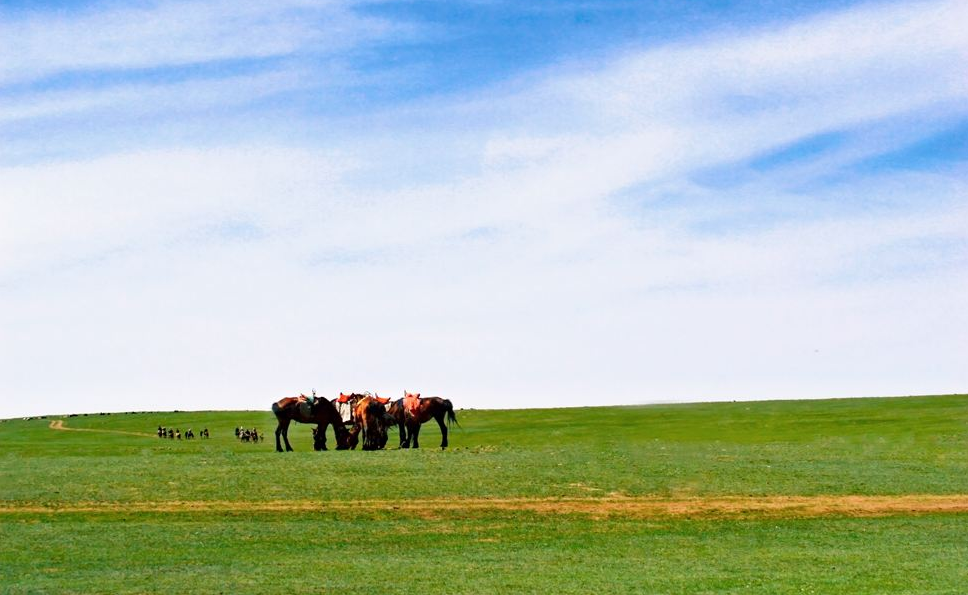 点击大图看下一张：内蒙古大草原图片