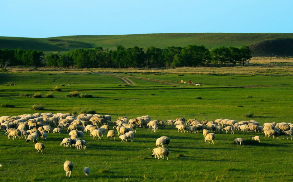 点击大图看下一张：内蒙古大草原图片