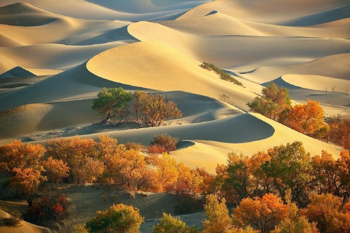 点击大图看下一张：温柔的塔克拉玛干沙漠