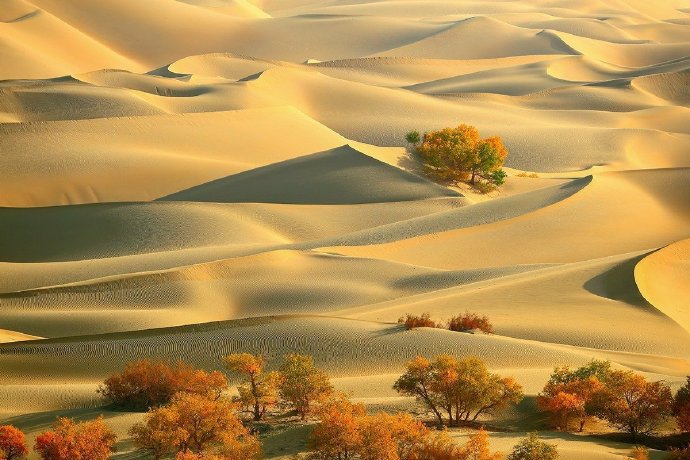 点击大图看下一张：温柔的塔克拉玛干沙漠