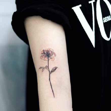 点击大图看下一张：一组女生小清新花卉纹身图案