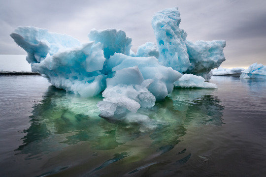 点击大图看下一张：南极冰川的美