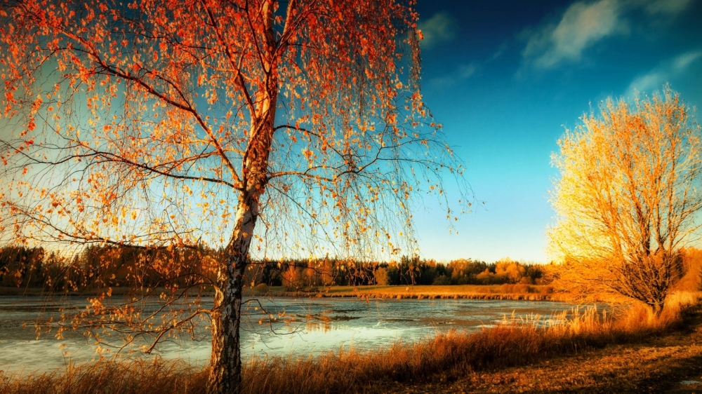 点击大图看下一张：立秋时节唯美风景图片桌面壁纸