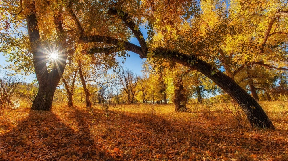 点击大图看下一张：立秋时节唯美风景图片桌面壁纸