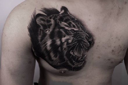 点击大图看下一张：一组写实风格的老虎纹身图案