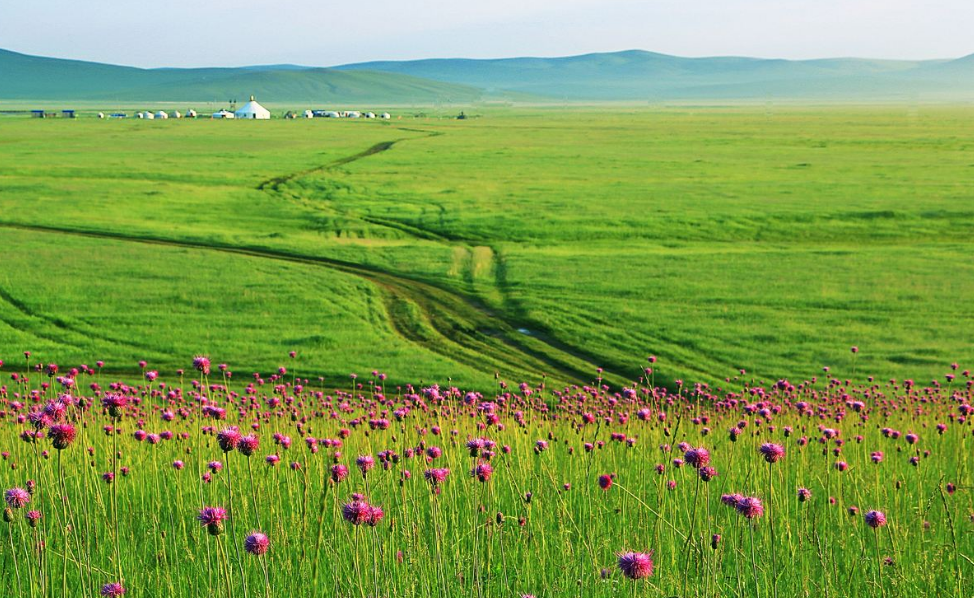 点击大图看下一张：美丽神奇的呼伦贝尔大草原