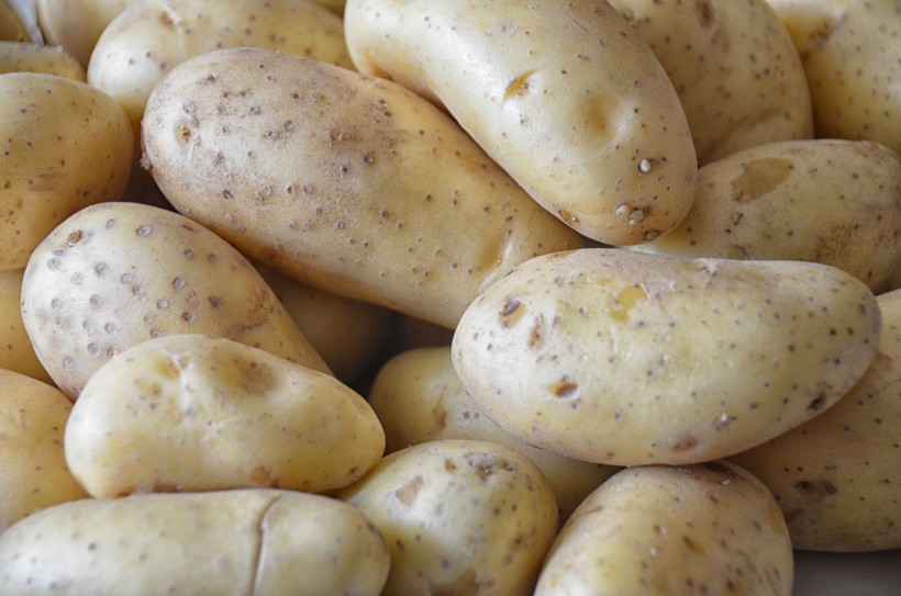 点击大图看下一张：软糯好吃的土豆图片