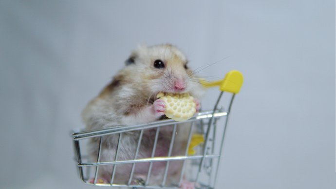 点击大图看下一张：购物车里超可爱的小仓鼠