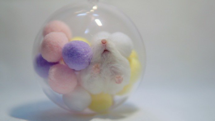 点击大图看下一张：一组精灵球里超可爱的仓鼠