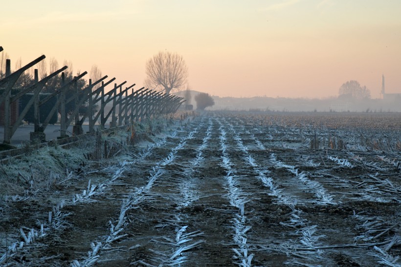 点击大图看下一张：冬季的霜冻景色图片
