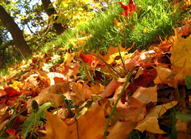 秋季美丽风景图片