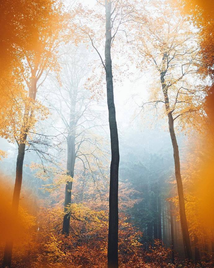 点击大图看下一张：一组美妙的秋日美景图片