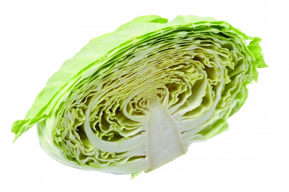 点击大图看下一张：绿色的卷心菜图片