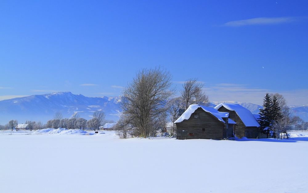 点击大图看下一张：美丽雪景风光壁纸图片