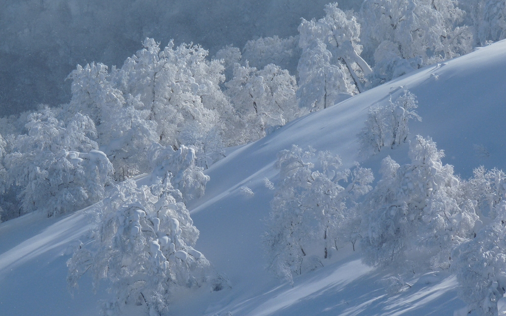 点击大图看下一张：一组唯美的冬季雪景图片