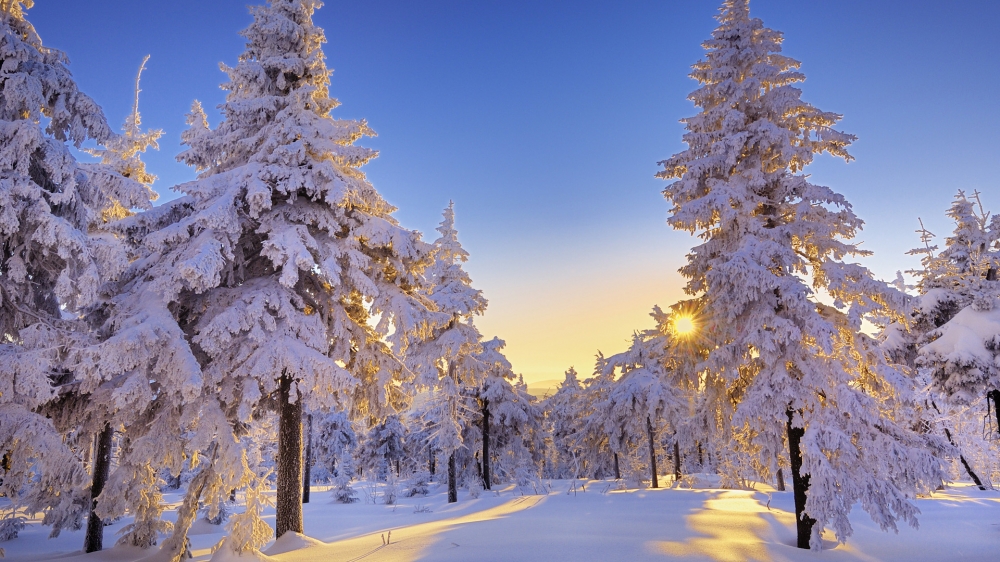 点击大图看下一张：一组耀眼洁白的雪景图片