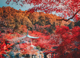 京都和奈良的秋