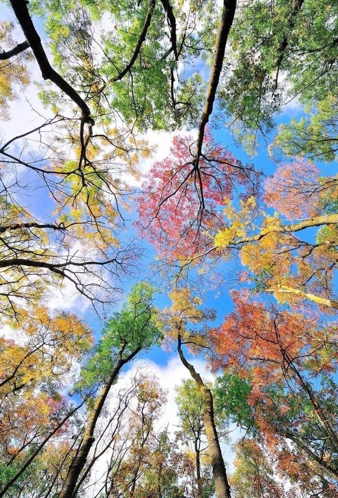 点击大图看下一张：秋天，是一个思念的季节