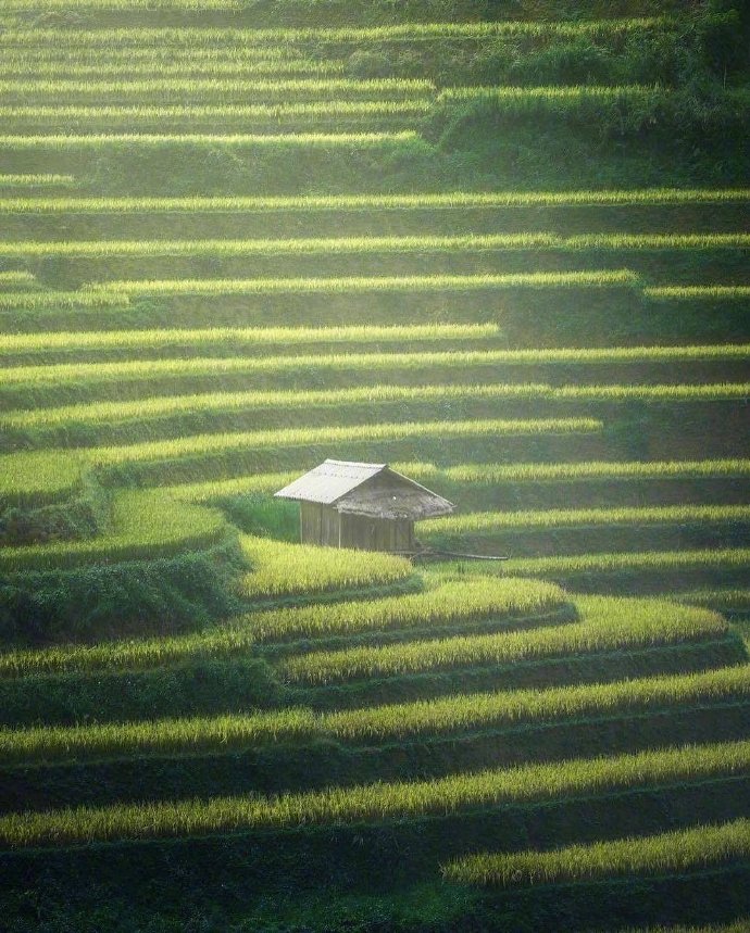 点击大图看下一张：越南的山水梯田，也挺美