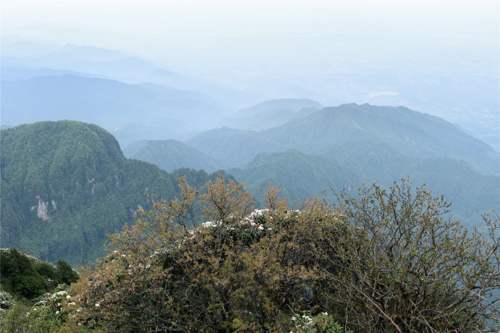 点击大图看下一张：一组四川山顶风景图片